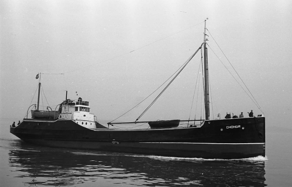 Chonga by T. Diedrich Chonga by T. Diedrich